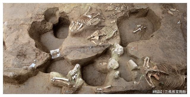 考古重大发现秦始皇陵1号墓出土车辆(图4)
